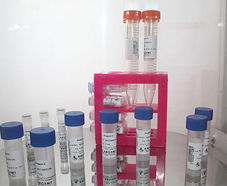 引進(jìn)美國(guó)生物工程前沿技術(shù)，打造高科技生物制品研發(fā)新生態(tài)